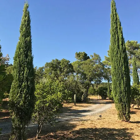 1 קוגולין
